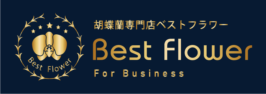 胡蝶蘭専門店ベストフラワー